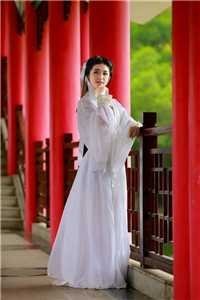 未寄出的青鸟诀别书全文章节