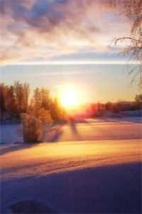 对照组兼祧四房？康巴汉子真香了免费阅读全文