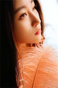 曾许我万丈骄阳小说免费阅读