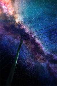 迟风不醒旧时月免费看