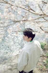 暗恋校草后我绑定了驯服系统好书