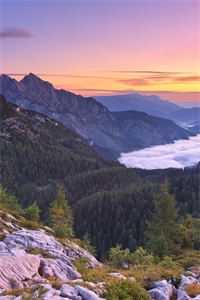 曾许我万丈骄阳热门推荐