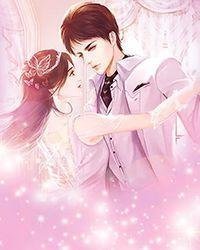 暖婚100天完整作品阅读