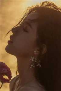 无妨水月镜中花无弹窗