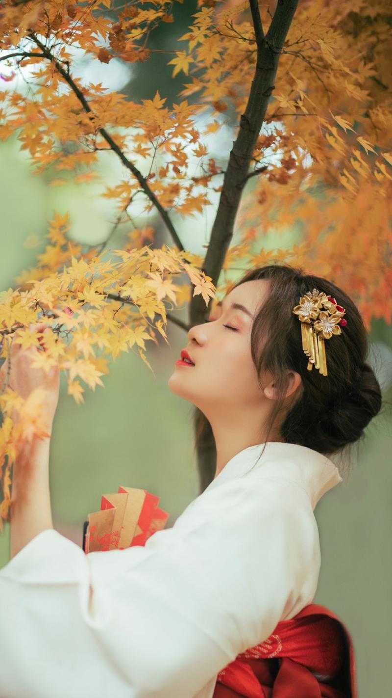 雾失星河，错负惊鸿无删减+无广告