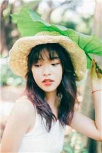 未寄出的青鸟诀别书完整版