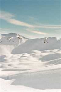 雪域长冬小说免费