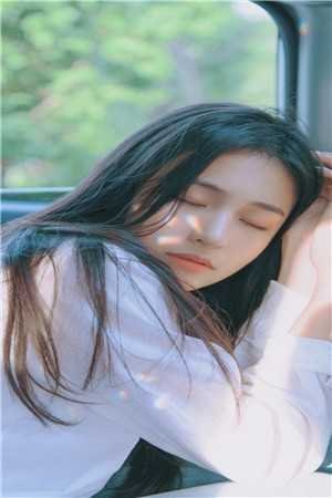 她于雪夜离岛沈安宁陆锦南全文