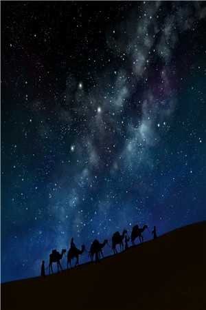 情花枯萎时，才说爱最后结局