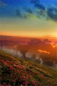 郭伯母转身，我是过儿啊笔趣阁