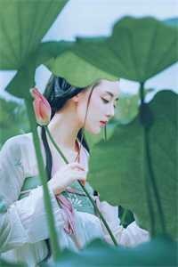 情花枯萎时，才说爱完整作品