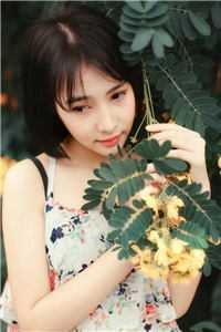 许她似明珠璀璨爆款热文