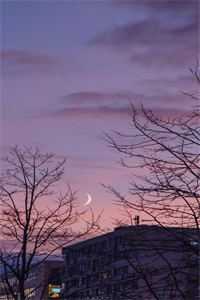 洞房夜只想谈情，这夫君搞纯爱的？全章阅读