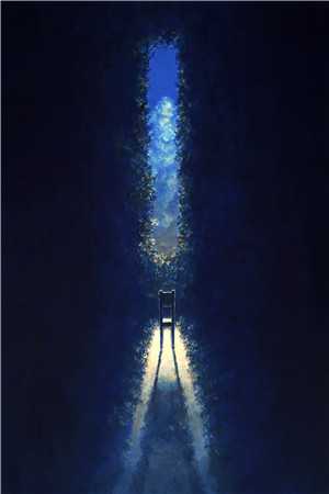 无妨水月镜中花无删版