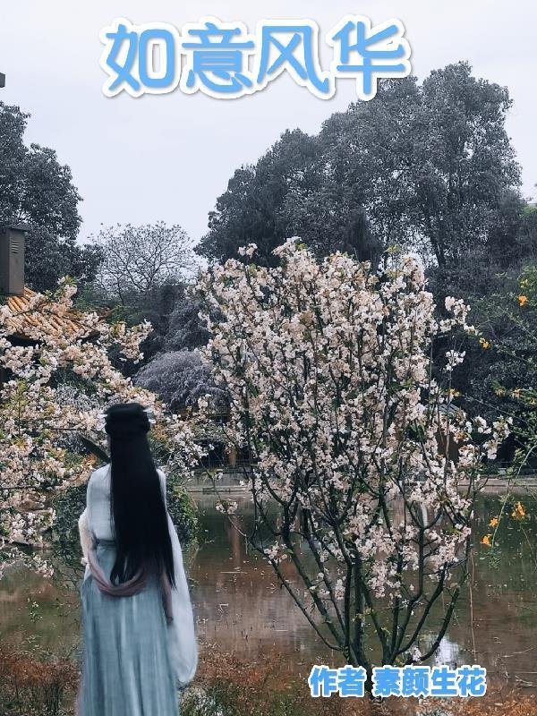 摆烂后，她成了前夫的心尖宠畅销小说推荐