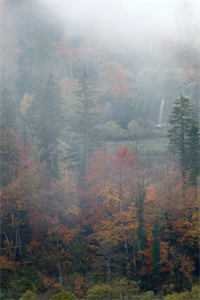 雪域长冬南嘉意希盛以清番外