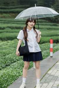 半生凛冬又逢春推荐