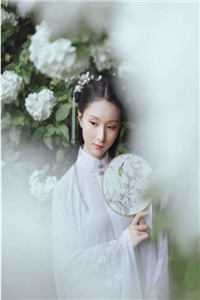 亭亭如盖全文免费阅读